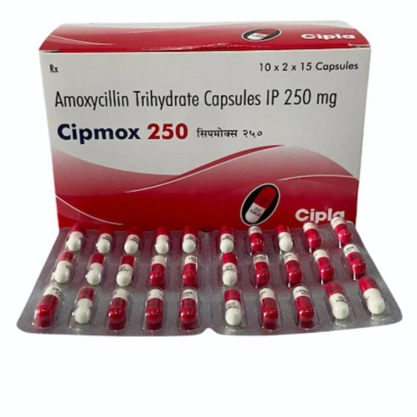 A box and a strip pack of generic amoxicillin 250mg capsule