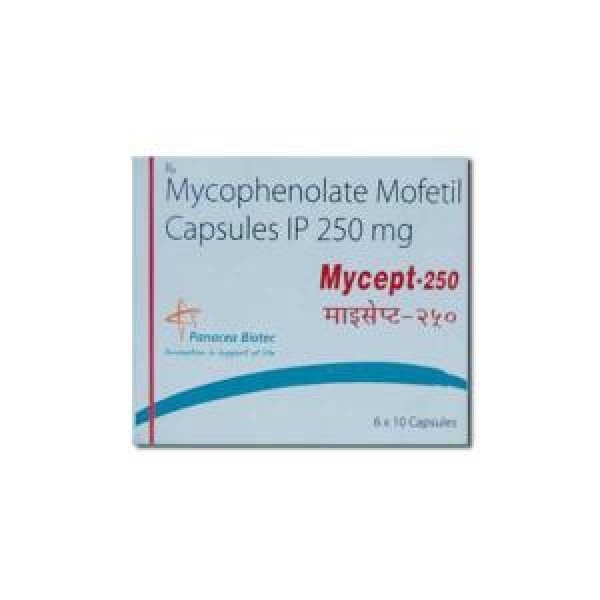 Box of generic Mycophenolate mofetil (250mg) Capsule
