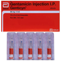 Garamycin 80mg Injection 2ml vial (Generic Equivalent)