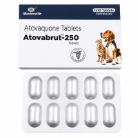 Mepron 250mg Tablets (Generic Equivalent)