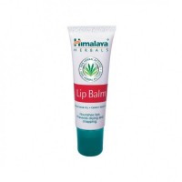 Small tube of Himalaya - Lip Balm 10 gm