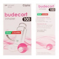 Pulmicort 100 mcg Inhaler ( 200 Doses ) (Generic Equivalent)