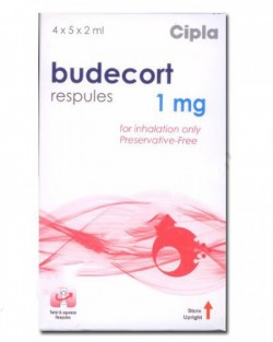 A box of generic Budesonide 1mg inhalation