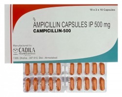 Principen 500mg capsules (Generic Equivalent)